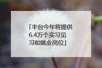 丰台今年将提供6.4万个实习见习和就业岗位