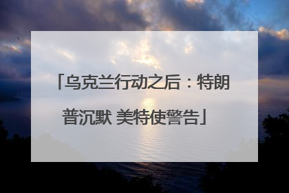 乌克兰行动之后：特朗普沉默 美特使警告