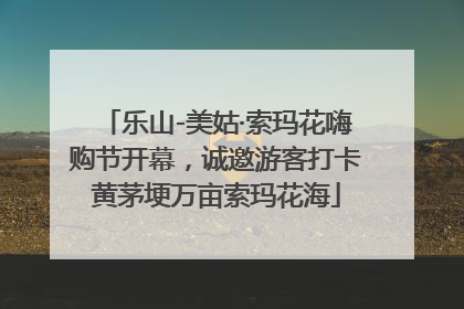 乐山-美姑·索玛花嗨购节开幕，诚邀游客打卡黄茅埂万亩索玛花海