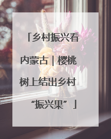 乡村振兴看内蒙古｜樱桃树上结出乡村“振兴果”