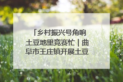 乡村振兴号角响 土豆地里竞赛忙｜曲阜市王庄镇开展土豆收获劳动竞赛