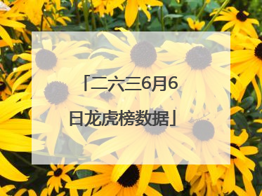 二六三6月6日龙虎榜数据