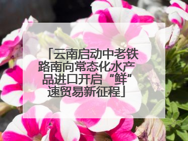 云南启动中老铁路南向常态化水产品进口开启“鲜”速贸易新征程