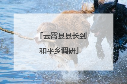 云霄县县长到和平乡调研
