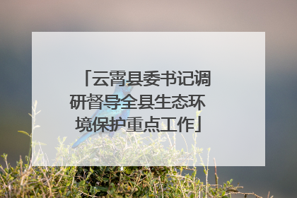云霄县委书记调研督导全县生态环境保护重点工作