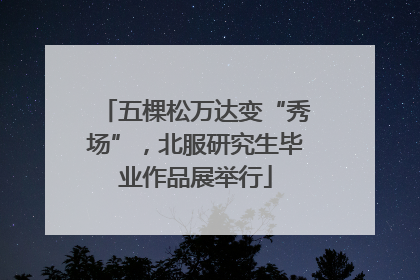 五棵松万达变“秀场”，北服研究生毕业作品展举行