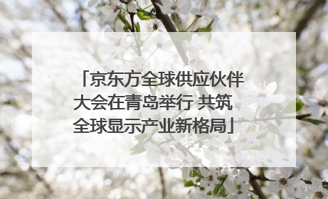 京东方全球供应伙伴大会在青岛举行 共筑全球显示产业新格局