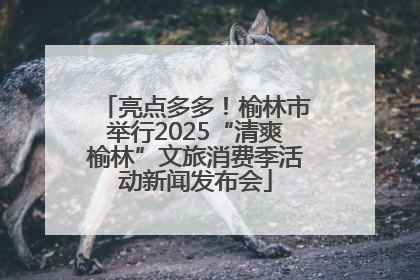 亮点多多！榆林市举行2025“清爽榆林”文旅消费季活动新闻发布会