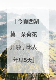 今夏西湖第一朵荷花开啦，比去年早5天