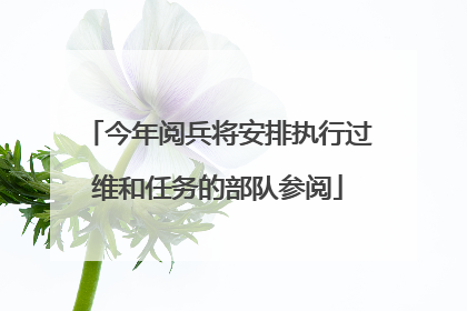 今年阅兵将安排执行过维和任务的部队参阅