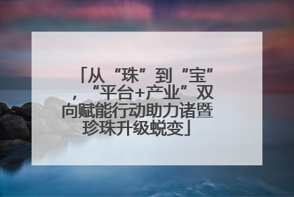 从“珠”到“宝”，“平台+产业”双向赋能行动助力诸暨珍珠升级蜕变