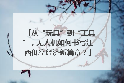 从“玩具”到“工具”，无人机如何书写江西低空经济新篇章？