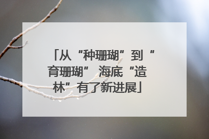 从“种珊瑚”到“育珊瑚” 海底“造林”有了新进展