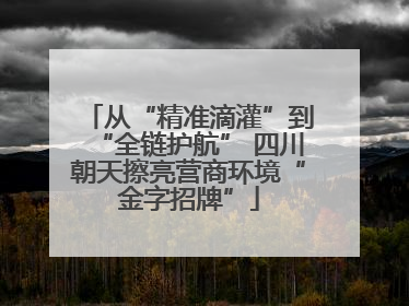 从“精准滴灌”到“全链护航” 四川朝天擦亮营商环境“金字招牌”