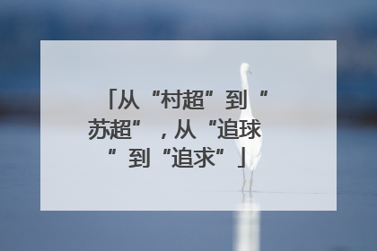 从“村超”到“苏超”，从“追球”到“追求”