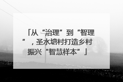 从“治理”到“智理”，圣水塘村打造乡村振兴“智慧样本”