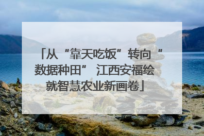 从“靠天吃饭”转向“数据种田” 江西安福绘就智慧农业新画卷