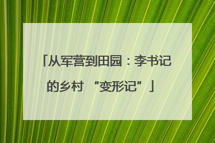 从军营到田园：李书记的乡村 “变形记”