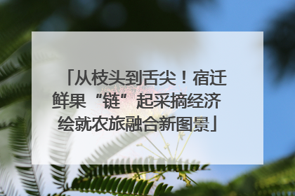 从枝头到舌尖！宿迁鲜果“链”起采摘经济绘就农旅融合新图景