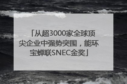 从超3000家全球顶尖企业中强势突围，能环宝蝉联SNEC金奖