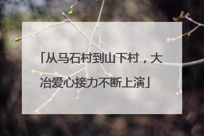 从马石村到山下村，大冶爱心接力不断上演