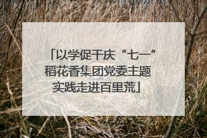 以学促干庆“七一” 稻花香集团党委主题实践走进百里荒