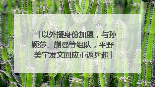 以外援身份加盟，与孙颖莎、蒯曼等组队，平野美宇发文回应重返乒超