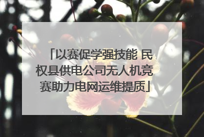 以赛促学强技能 民权县供电公司无人机竞赛助力电网运维提质