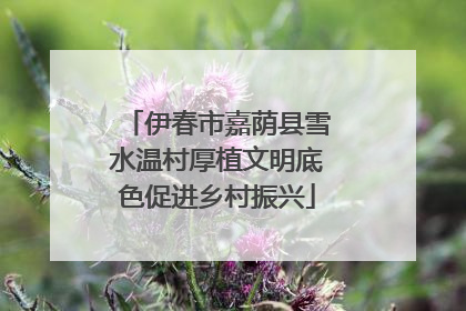 伊春市嘉荫县雪水温村厚植文明底色促进乡村振兴