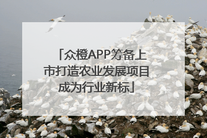 众橙APP筹备上市打造农业发展项目成为行业新标