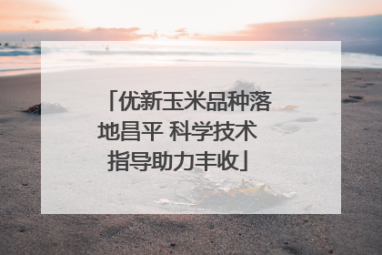 优新玉米品种落地昌平 科学技术指导助力丰收
