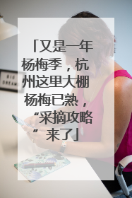 又是一年杨梅季，杭州这里大棚杨梅已熟，“采摘攻略”来了