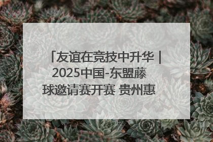 友谊在竞技中升华｜2025中国-东盟藤球邀请赛开赛 贵州惠水燃动“空中芭蕾”