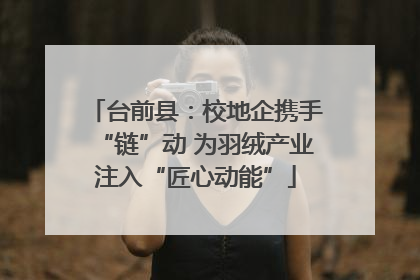 台前县：校地企携手“链”动 为羽绒产业注入“匠心动能”