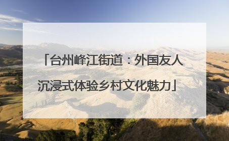 台州峰江街道：外国友人沉浸式体验乡村文化魅力