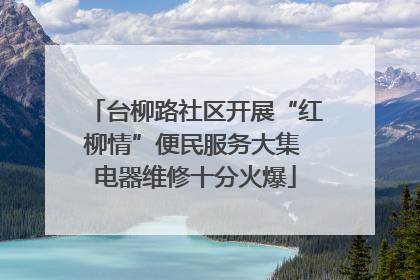 台柳路社区开展“红柳情”便民服务大集 电器维修十分火爆