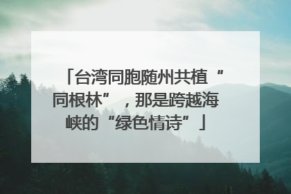 台湾同胞随州共植“同根林”，那是跨越海峡的“绿色情诗”