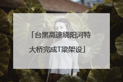 台黑高速绕阳河特大桥完成T梁架设