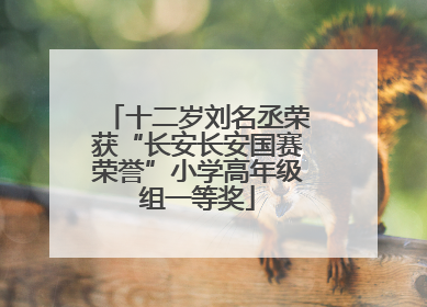十二岁刘名丞荣获“长安长安国赛荣誉”小学高年级组一等奖