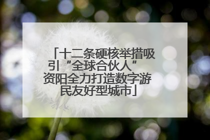 十二条硬核举措吸引“全球合伙人” 资阳全力打造数字游民友好型城市