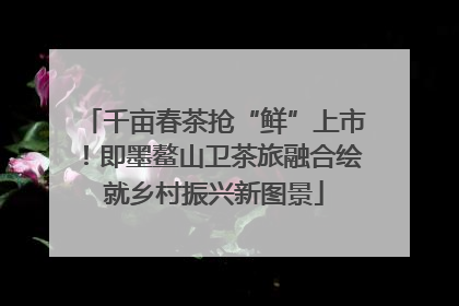 千亩春茶抢“鲜”上市！即墨鳌山卫茶旅融合绘就乡村振兴新图景