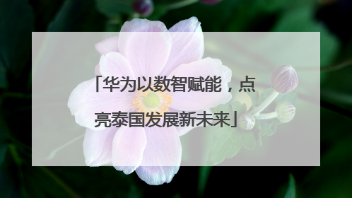 华为以数智赋能，点亮泰国发展新未来