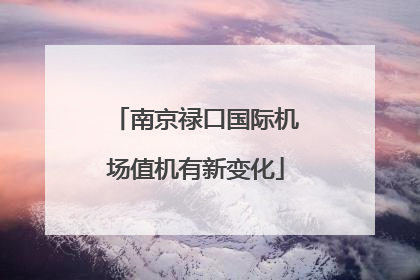 南京禄口国际机场值机有新变化