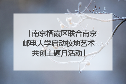 南京栖霞区联合南京邮电大学启动校地艺术共创主题月活动
