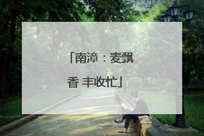 南漳：麦飘香 丰收忙
