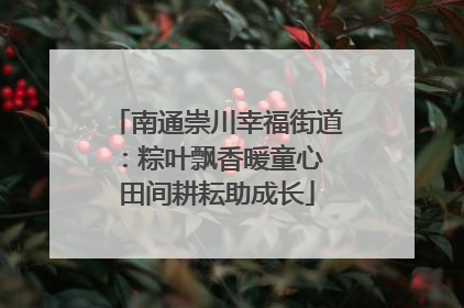 南通崇川幸福街道：粽叶飘香暖童心 田间耕耘助成长