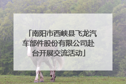 南阳市西峡县飞龙汽车部件股份有限公司赴台开展交流活动