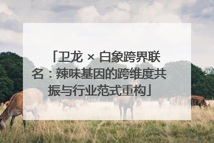 卫龙 × 白象跨界联名：辣味基因的跨维度共振与行业范式重构