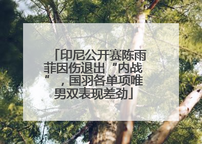 印尼公开赛陈雨菲因伤退出“内战”，国羽各单项唯男双表现差劲