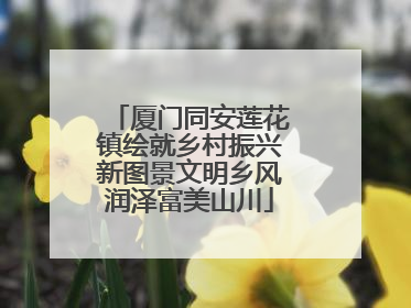厦门同安莲花镇绘就乡村振兴新图景文明乡风润泽富美山川